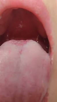 Blow a Big Cock and Lick the Balls
