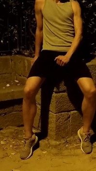 Crusing in a Public Park at Night - Getting Naked