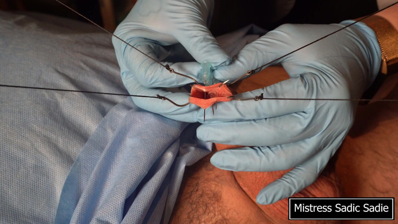 Sadic Sadie: Jehly CBT v tom nejlepším smyslu!