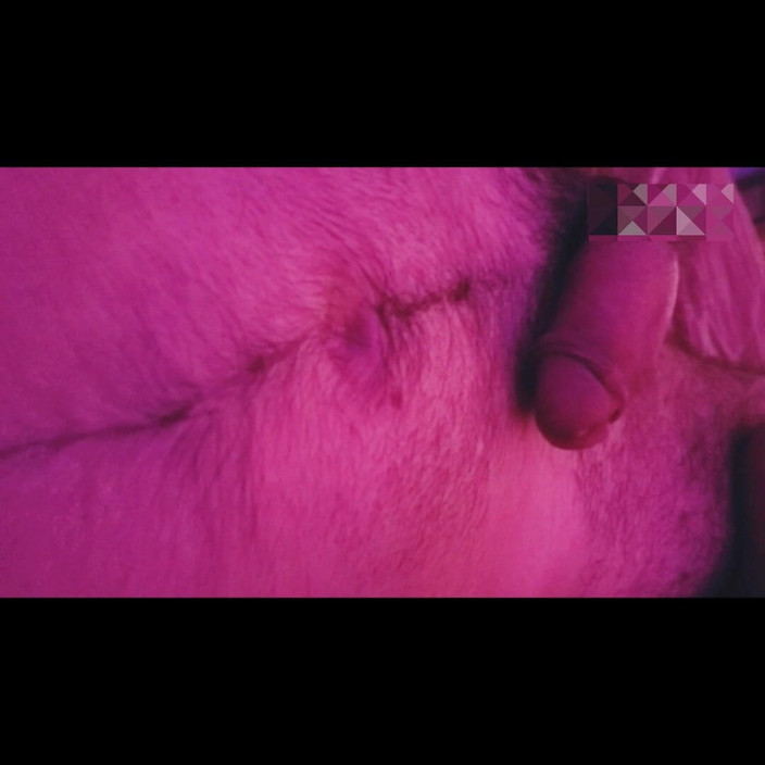 Julian Shul: Сучка-шлюха заставляет меня трахать ее с криком со своим членом внутри