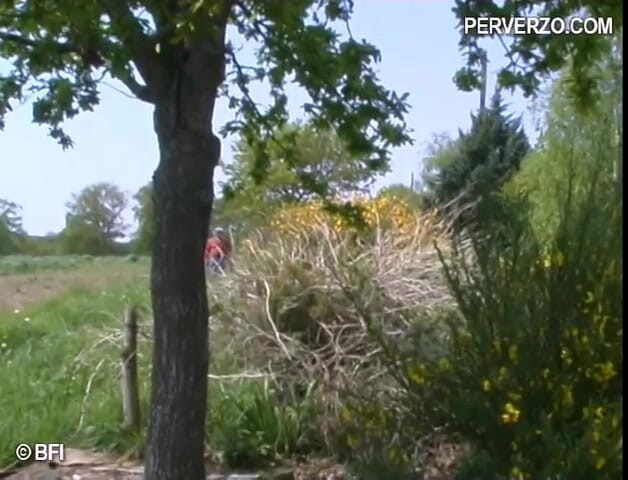 Nasty matures and dirty grannies club: Blonde ass fucked on the lawn by group of people