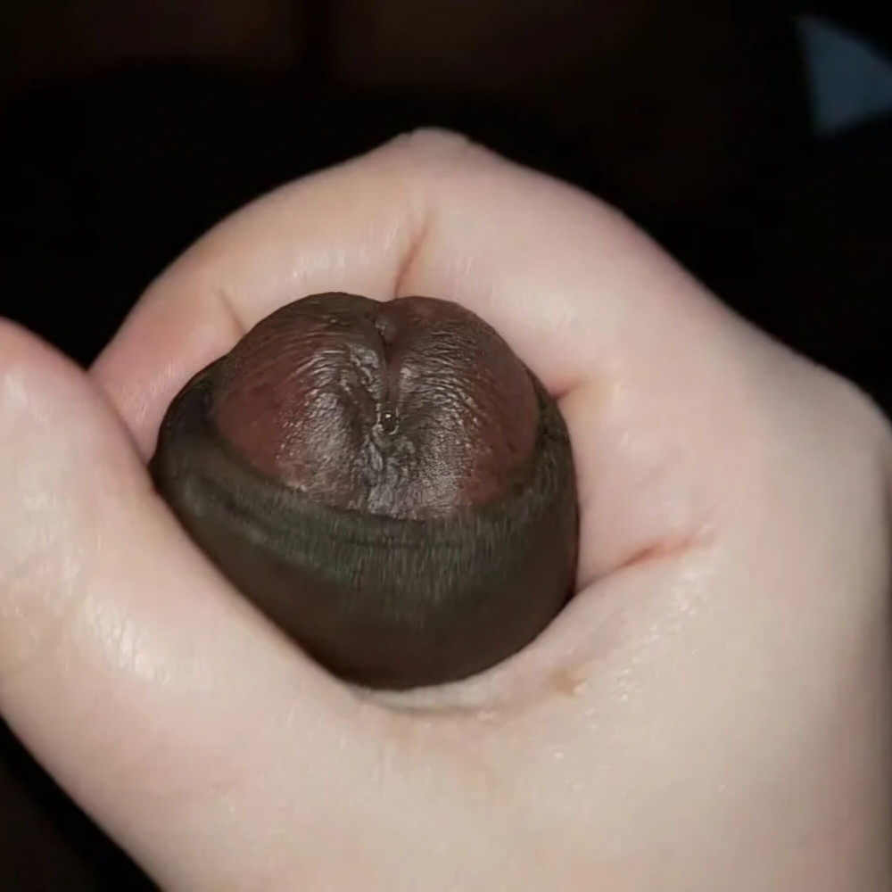 Faphouse
