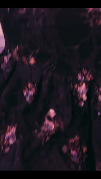 Vocês gostam mais deste vídeo com ou sem o filtro?