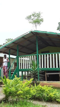 Pertemuan seksi di dalam hutan