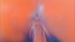 Juicy Wet Pussy