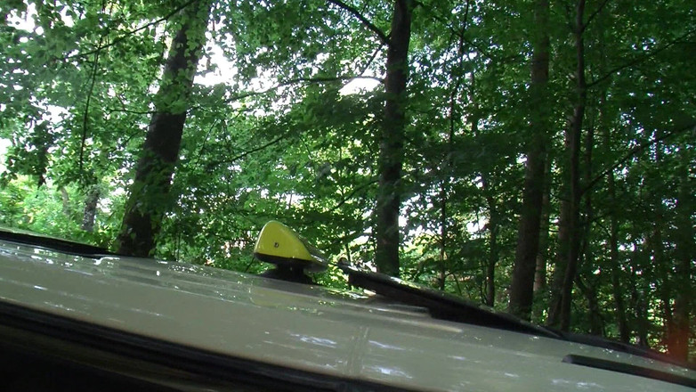 Erotic Club: Taxi rosebud prolapso provoca - enorme anal apareciendo mojado