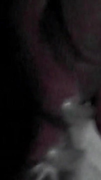 MILF Brunette Spontaneously Fucked in the Car