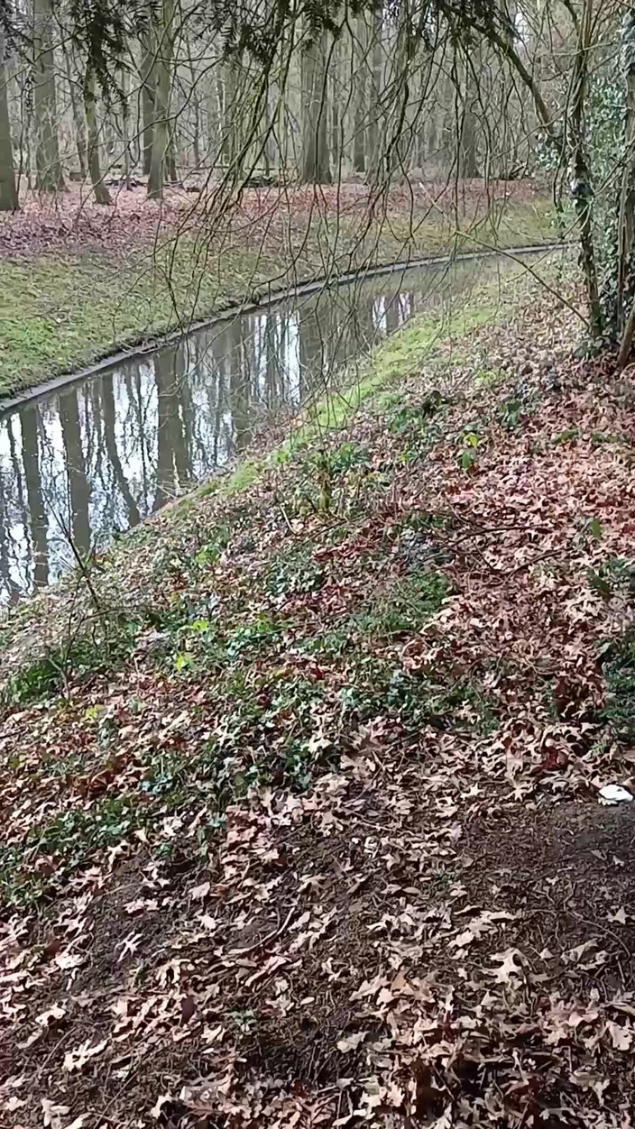 Asisa_oz: Am jucat cu o pulă mare afară în parc, a dat...