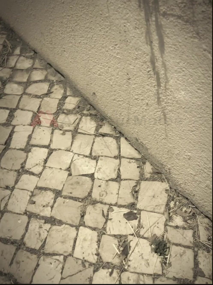 AmateurMates: Ragazzo amatoriale succhia un ragazzo che ha trovato masturbandosi in...