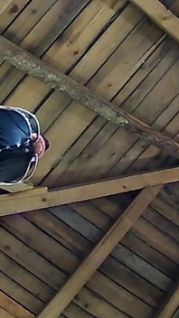 VEDERE LA PERSOANA 1 - Curvă care se pișă adânc în gât
