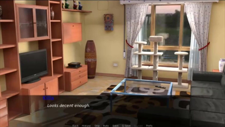 Visual Novels: Pina cade, partea 5