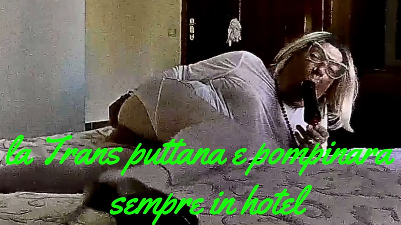 gio calda: Whorw Trans