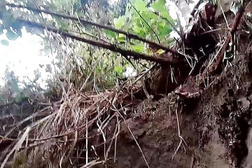 Gangbang straight: Chcaní Sólo indický amatér