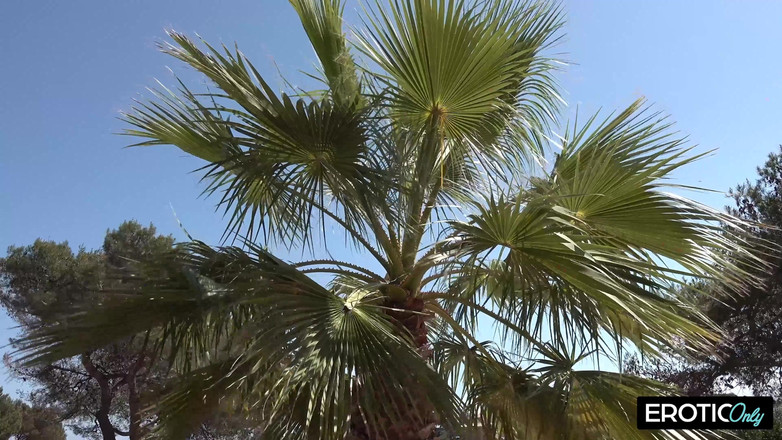 MILFFreaksX: İlk Sevişmede Aşk