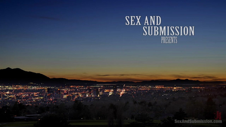 Sex and Submission by Kink: The Subversive
