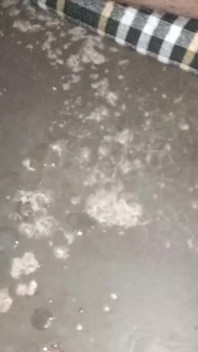 Indian Boy Black Dick Masturbate and Cum