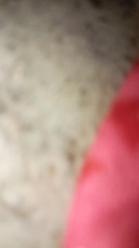 Pussy Mukesh730