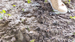 Adele Amber: Chuva na natureza