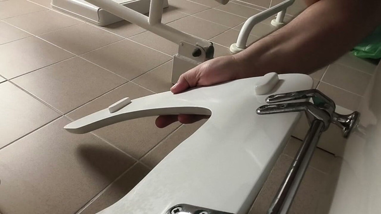 Leccacessi: Licking a Public Toilet