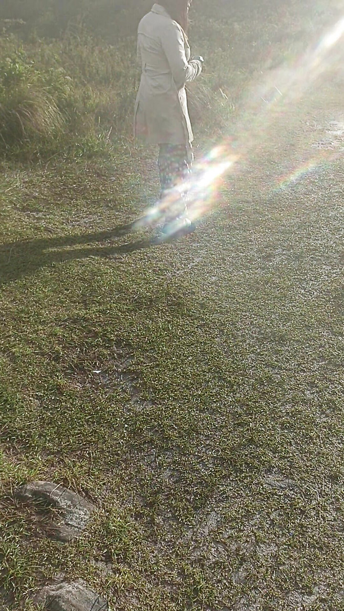 Pikaa6: Saje mého ptáka venku a Skoro jsme byli objeveni