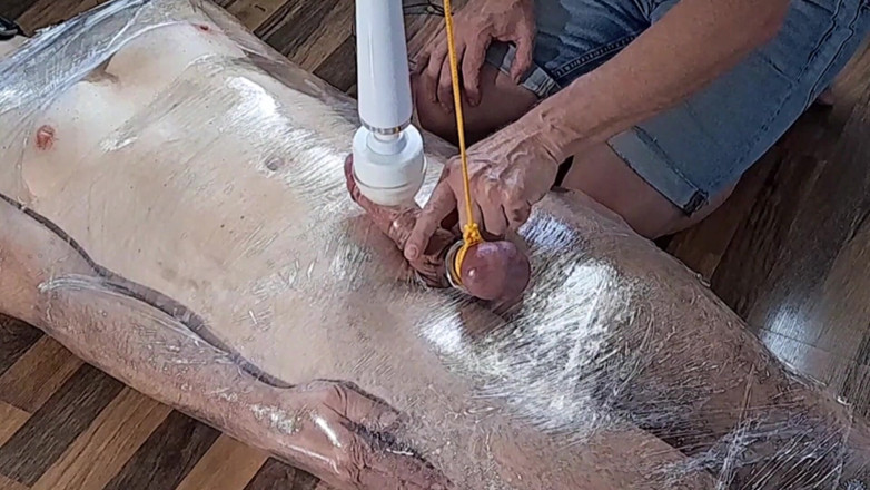 Master Drex: 호일의 노예