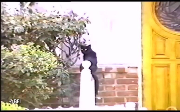 Combat zone transsexual barebacking: He-shes crave pussy too