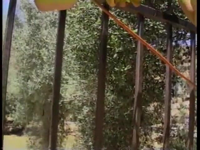 Butt Paradise: Slutty chick sucks and rides a cock at the park