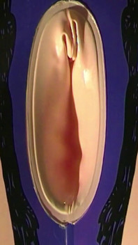 Sexdoll neukpartij masturbatie met een grote lading sperma