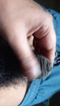 Horny Indian Teen Boy's Phimosis Dick Getting Small to Hard Until Cum