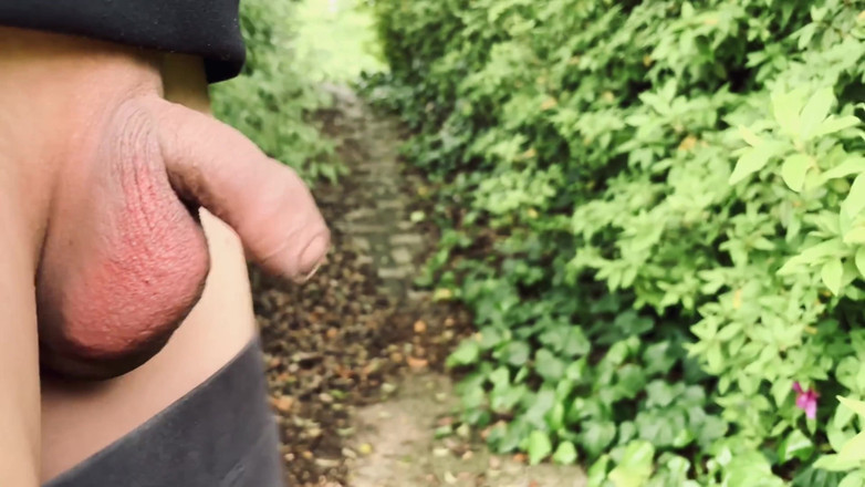 hueikun: Zeigt eine kleine haarlose vorhaut im wald