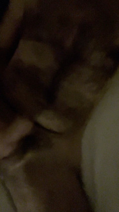 DomTopSpain: 毛XLコックと兼