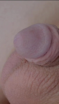 How Old Is That Cock Lol?!