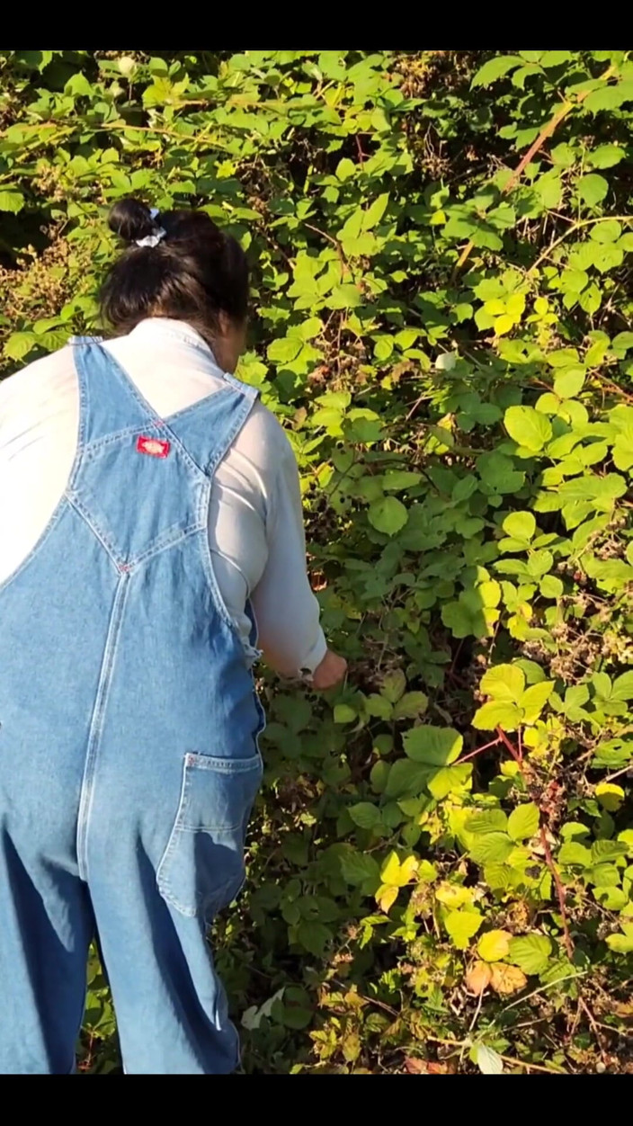 Zilah Luz: Hora de recoger moras