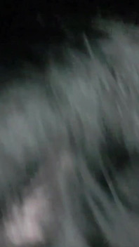 ドッギング カーパーク エセックス