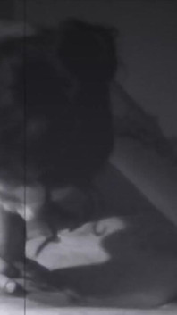 Retro-video! ein schöner blowjob und muschi essen lass uns rocken!
