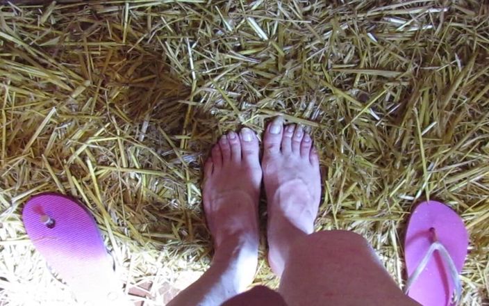 Barefoot Stables: Писяю сіссі