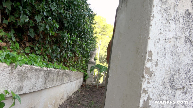 Wankrs: Kochanek kogutów