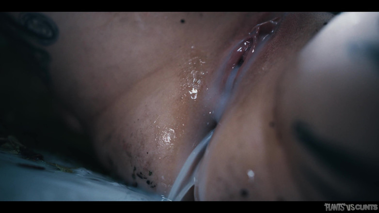 Plants vs Cunts: Cartea blestemelor