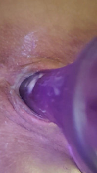 Purple Giant