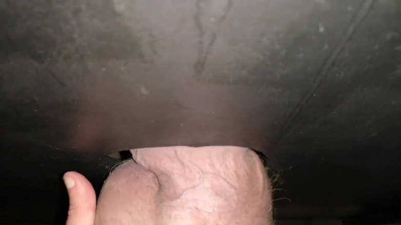 Monster_Meat_: The perfect glory hole