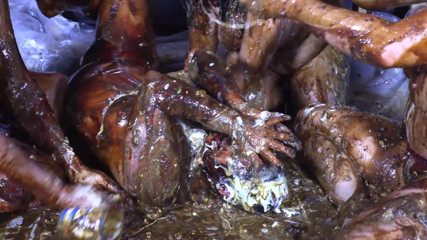 Gunked up girls: 4 girl food sploshing