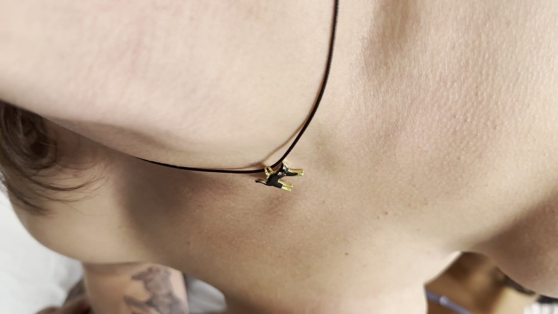 Lidi Ferrari 2: 大きくて硬いペニスのブルネットの女性は私にしゃぶられ、ホットなトランスセクシャルのお尻もあった