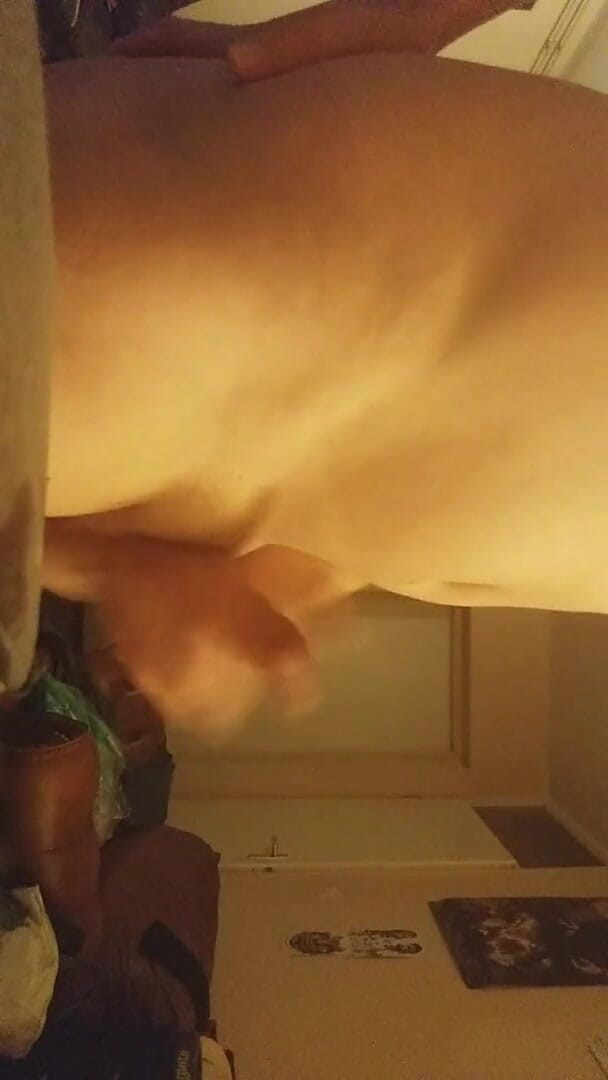 Dutch Masturbator: Close up jerk and cumshots