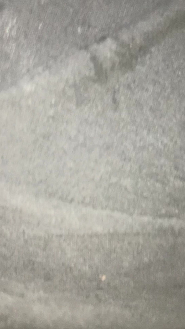 Big D raven: Allice jezdí na mém obrovském ptákovi