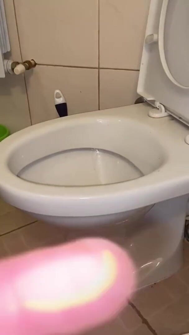 Elena917: Pisciare e pulire il bagno con la lingua