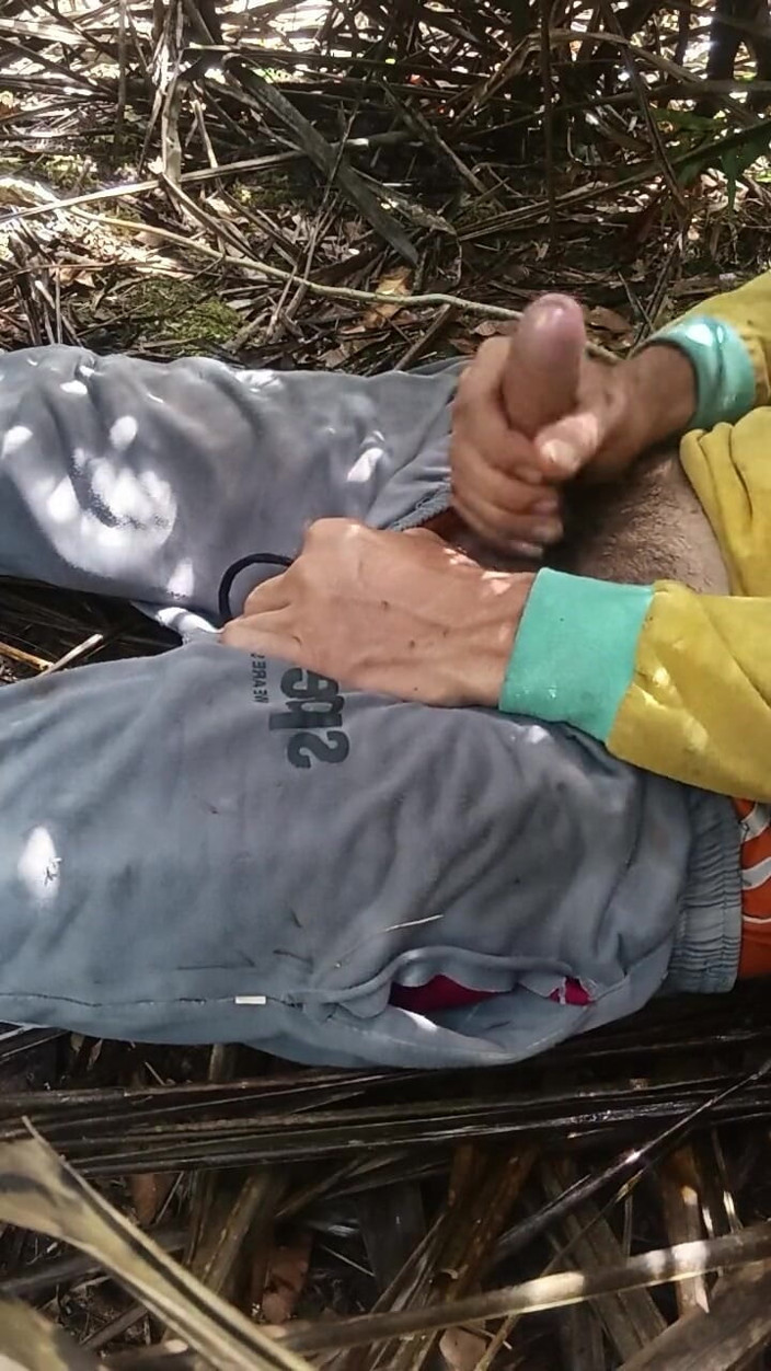 AdmHell: Orang dewasa bergoyang-goyang di bawah Pokok Sawit