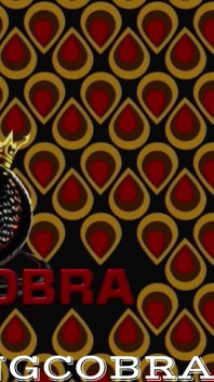 King Cobras in My Ass and It Feels Amazing!