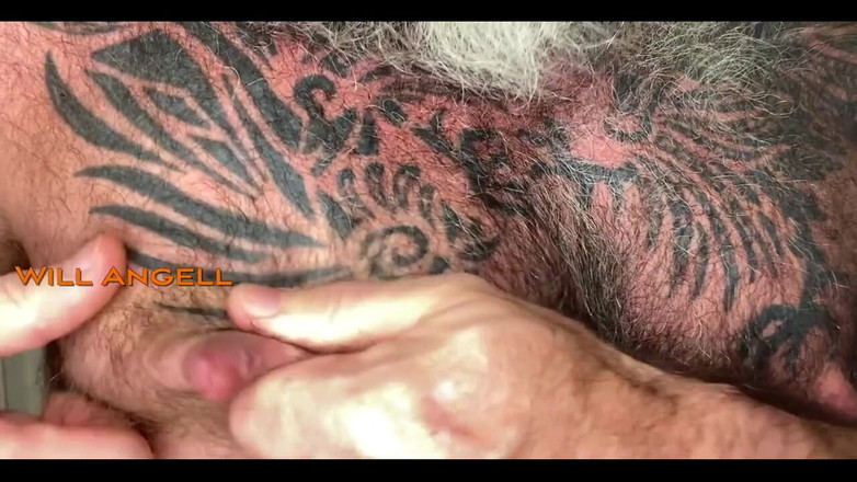 Will Angell: Meme Sütü