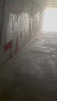 Pissing in the Underpass to the Bus Stop