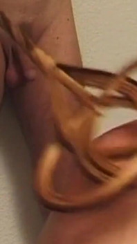 Zamaskowana blond milf biczowała przed podaniem kutasa